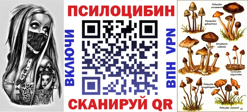 omg сайт  Дубна  Псилоцибиновые грибы мицелий  купить наркоту 