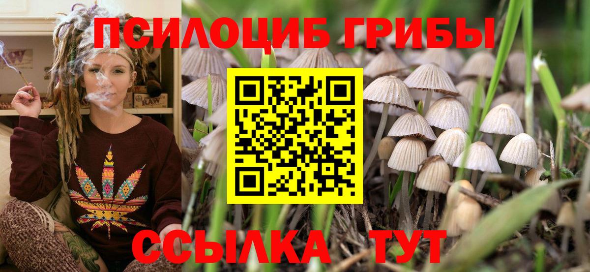 Псилоцибиновые грибы мухоморы Дубна