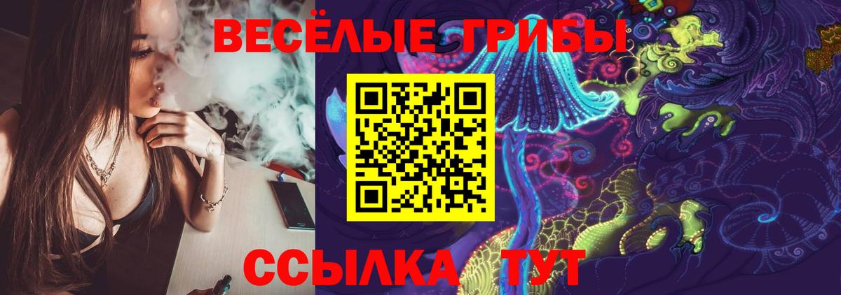 Дубна  Галлюциногенные грибы Psilocybine cubensis  Вход с VPN 