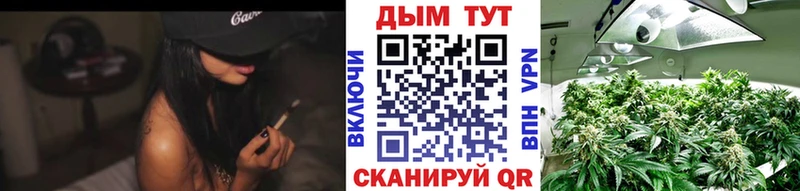 Марихуана Amnesia Дубна